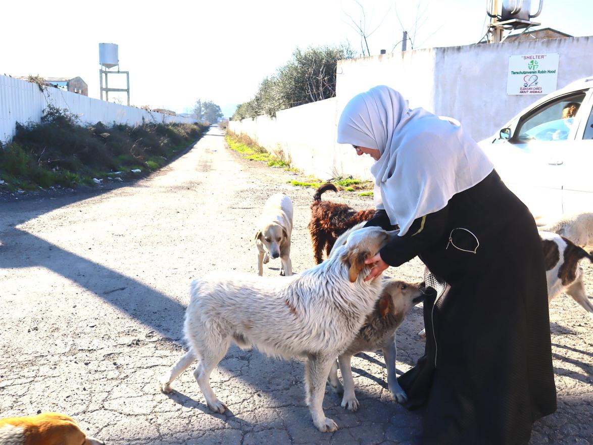 Jeden Tag füttern die Tierschützerinnen Streunerhunde in den Straßen von Elbasan und in den Bergen.