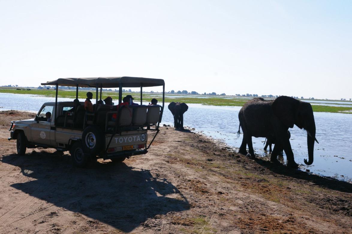 Botswana setzt auf sanften Wildtiertourismus: 
