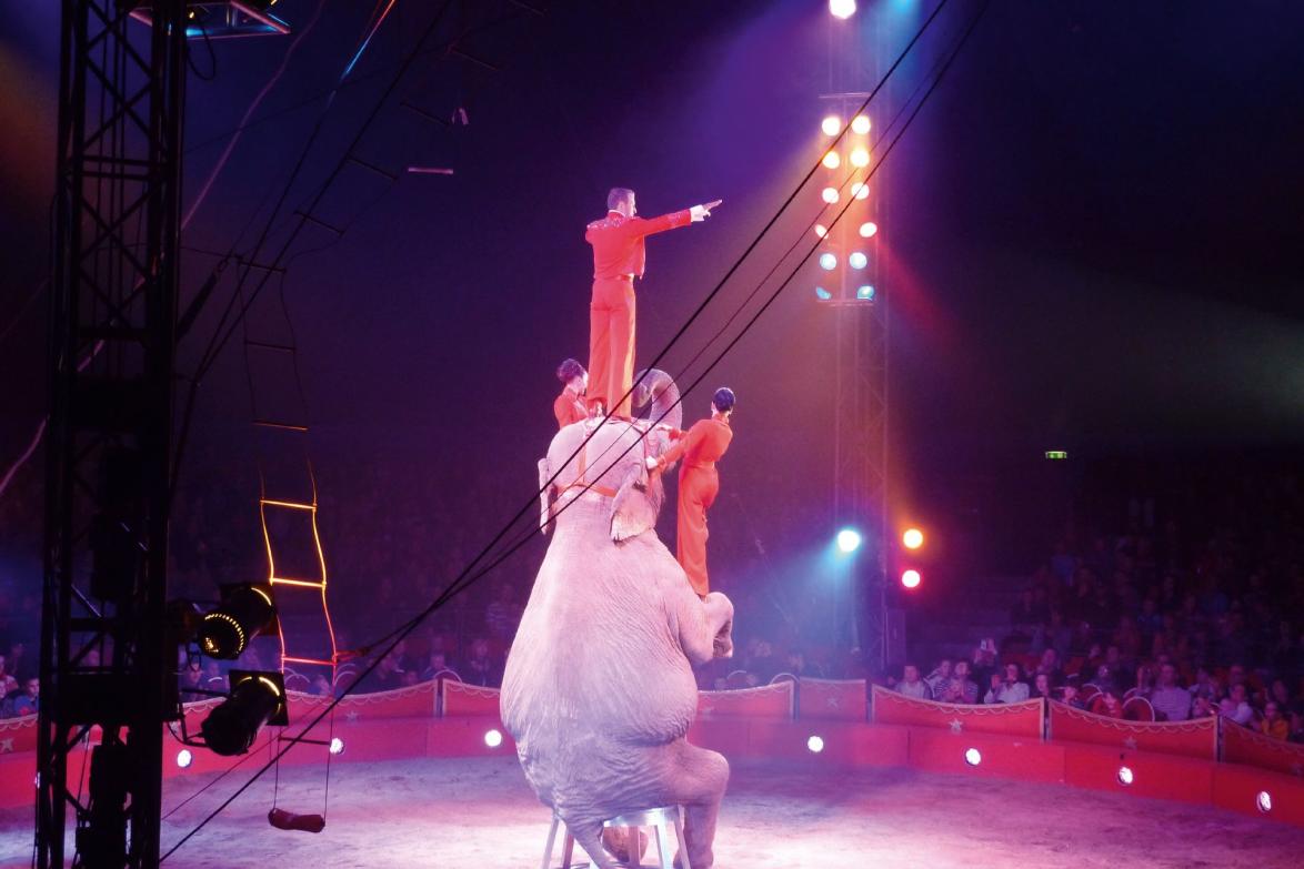 In Deutschland reisen etwa 140 Zirkusse 